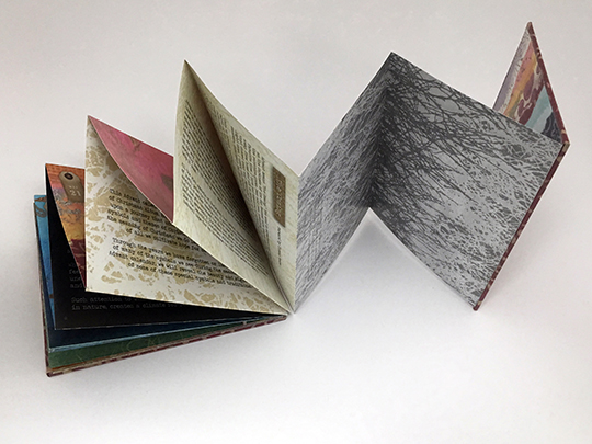 Accordion Books