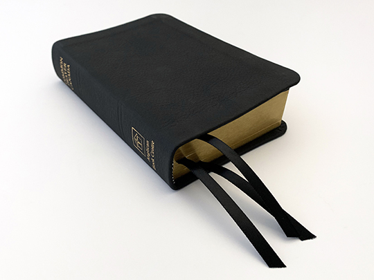 soft covered case bound books